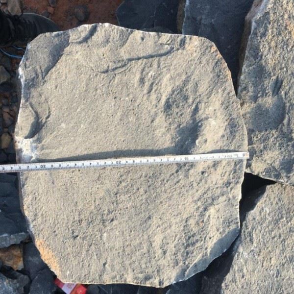 Black Basalt Flagstone