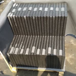 Ken Black Pool Coping
